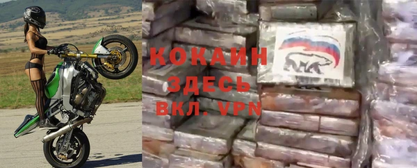 стаф Краснотурьинск