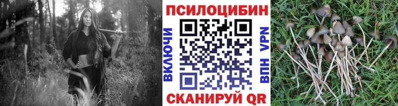Псилоцибиновые грибы прущие грибы  Лысково 