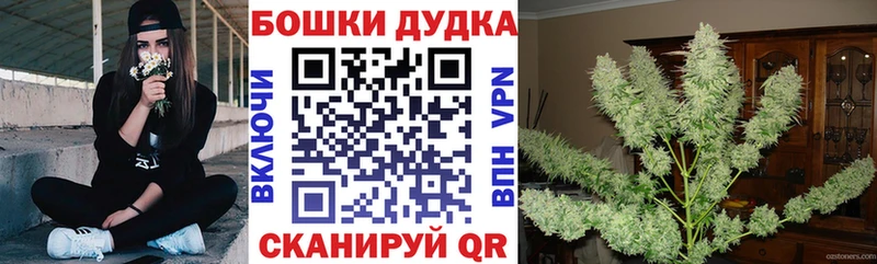 Бошки марихуана AK-47  Лысково 